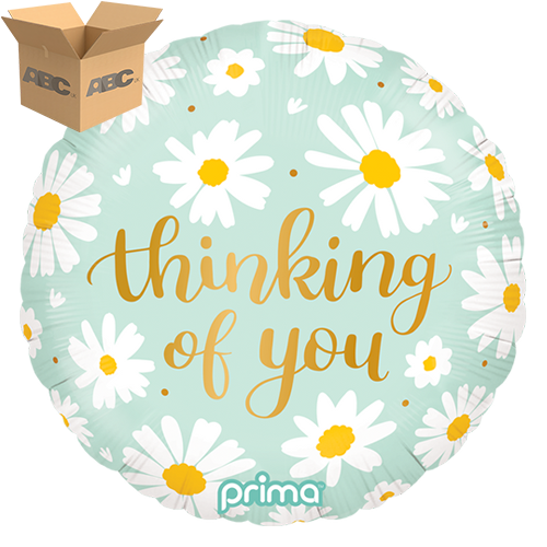 18" Round Thinking of You Daisies (Case of 50) - Prima