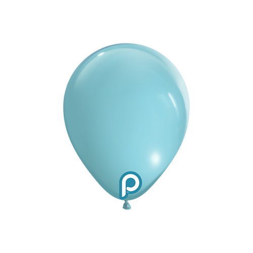 [PL-WSKY-5-10-100] Winter Sky 5" Round - 100CT  - Prima